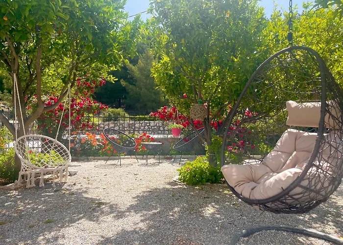 Dreamcatcher Of Zeus *