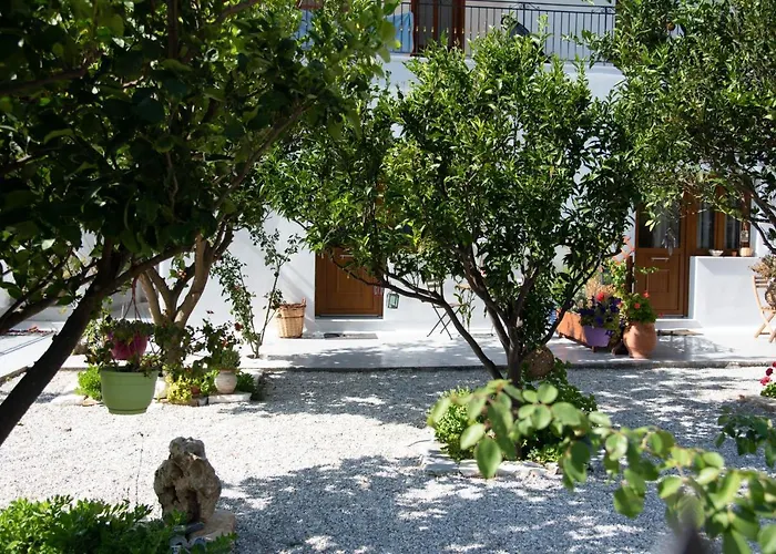 Dreamcatcher Of Zeus *