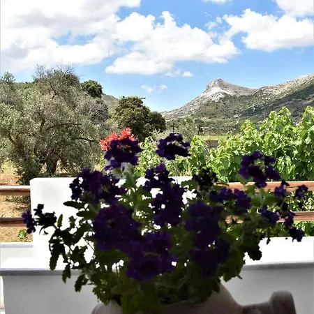 Dreamcatcher Of Zeus