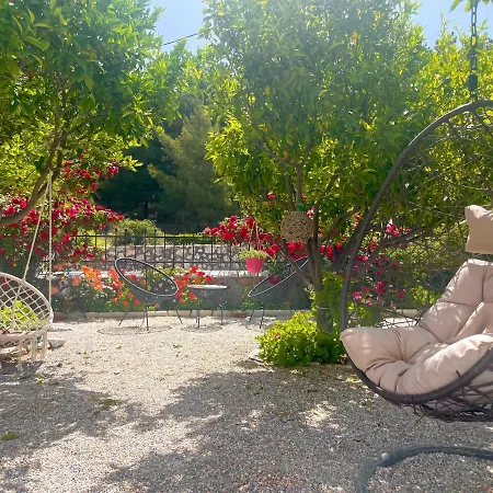 Dreamcatcher Of Zeus *