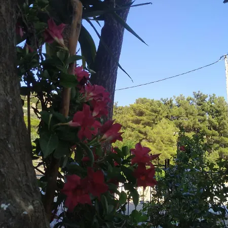 Dreamcatcher Of Zeus Filotion