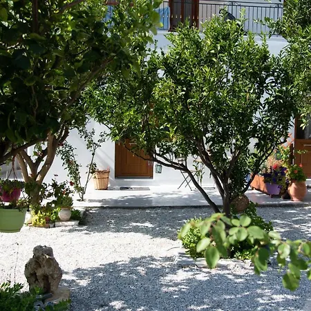 Dreamcatcher Of Zeus *