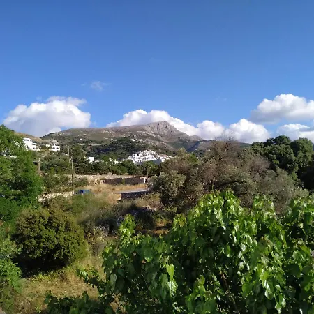 Dreamcatcher Of Zeus