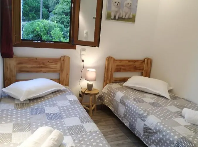 Dreamcatcher Of Zeus Filótion