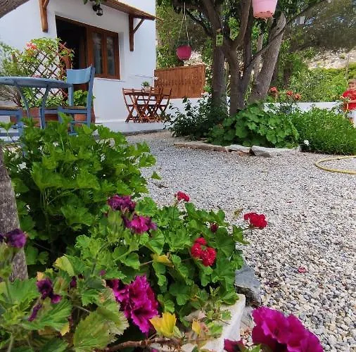 Dreamcatcher Of Zeus * Filótion