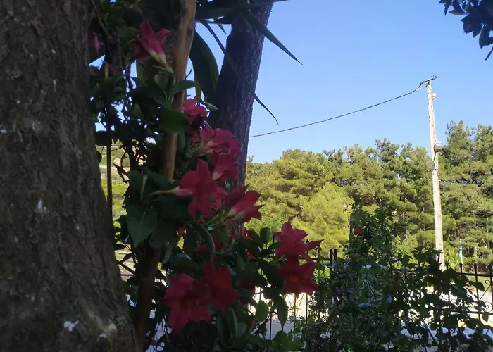 Dreamcatcher Of Zeus Filótion