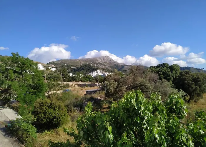 Dreamcatcher Of Zeus